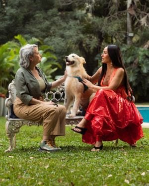 GoldeN patrocina programa Dog House Brasil e garante alimentação por um ano para cães adotados